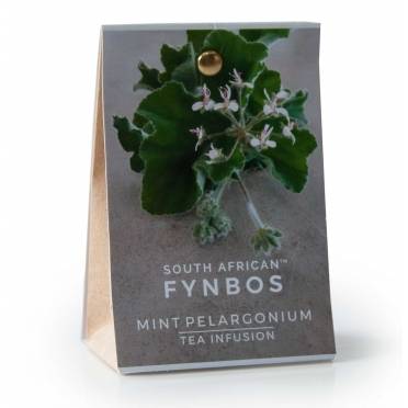 Cape Fynbos Mint...