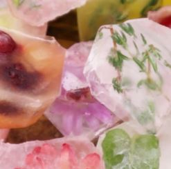 EDIBLE FLORAL, FRUIT & HERB ICE CUBES
